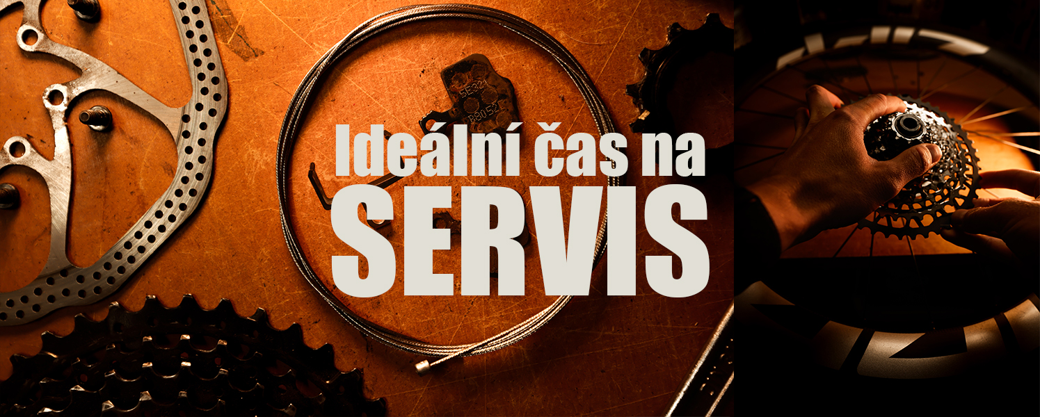 Servis BLOG